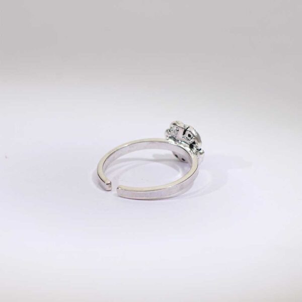 Rose Aura Toe Rings - Image 4