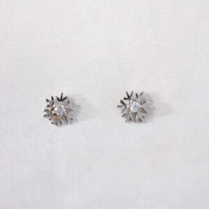 Midnight Charm Earrings