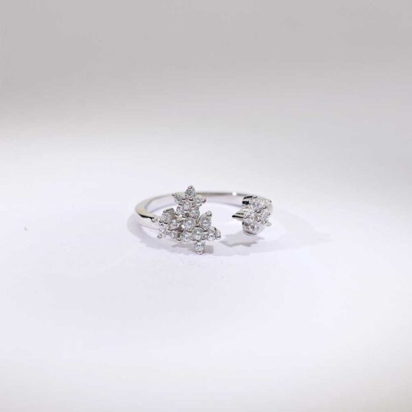 Frost Petal Toe Rings - Image 3