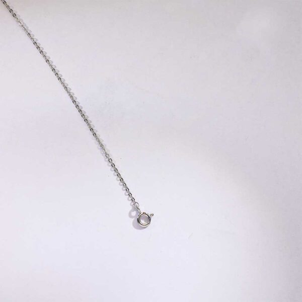 Sitara Drop Necklace - Image 2