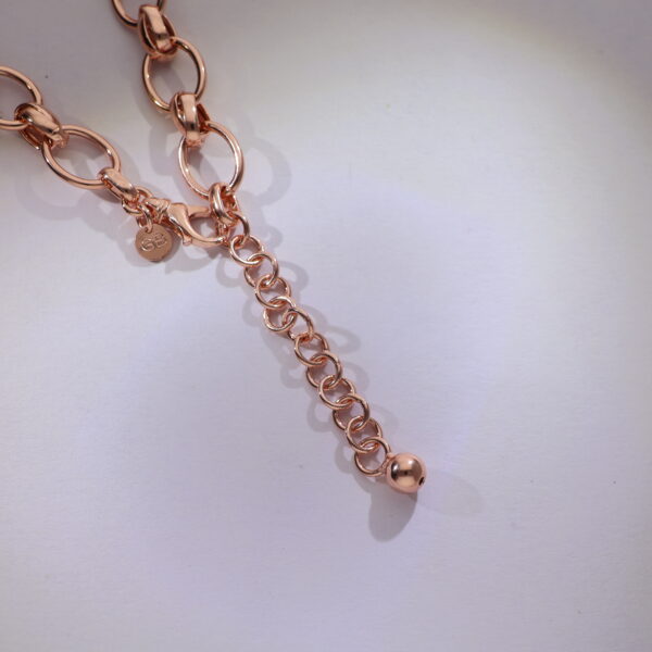 Sunset Loop Rosegold Chain - Image 4
