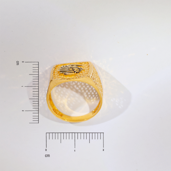 The Apex Mane Ring - Image 6