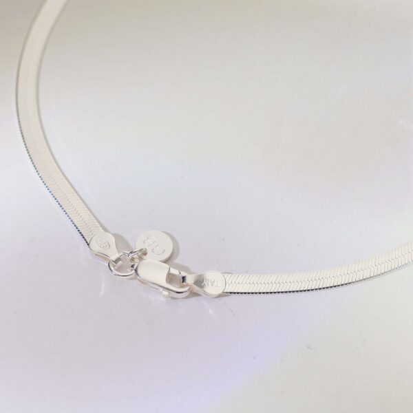 GlintBand Anklets - Image 3