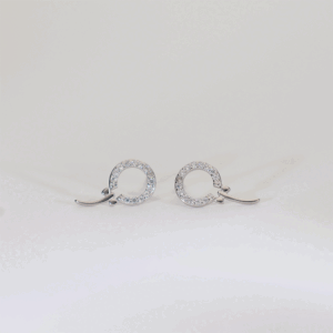 Circle Shine Silver Earrings