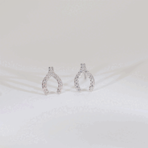 Lucky Wish Silver Earrings