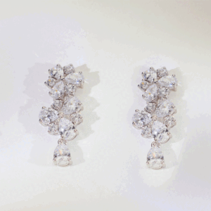 Shine Flower Silver Earring