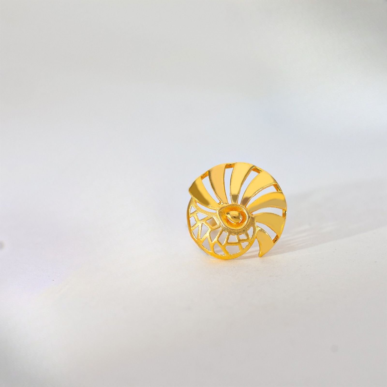 Golden Spiral Gold Earrings - Image 2